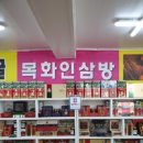목화인삼
