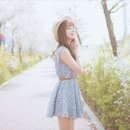 무 진 정 이미지