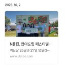 돌핀 | [N돌핀13기] N돌핀 합격 후기 및 활동 과정