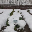 무랑농장 이미지