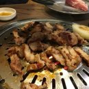 PC오태로 이미지