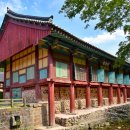 보물이네 이미지