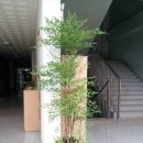 우솔초등학교 이미지