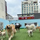 새마을 유치원 이미지