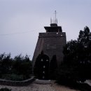 포사
