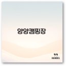 2025 양양 캠핑장 애견 동반과 카라반부터 낚시까지 완벽 정리