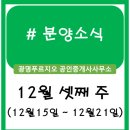 동천M+플러스 공인중개사사무소 | 분양정보 (12월 셋째 주)