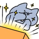 르다즐