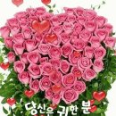 황가네김 이미지