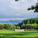 우림한방삼계탕청북점 이미지