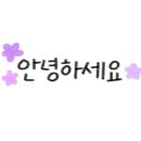 씬셀프스튜디오 이미지