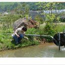 구수리 낚시터 이미지