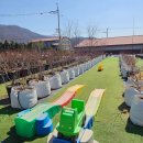 대량농장 | 용인) 포레스트벨 체험농장│ 딸기+동물 농장 아이와 체험 후기