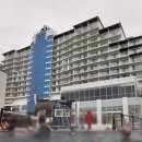 아일랜드리솜 이미지