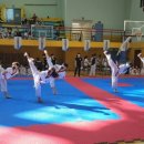 경희대청룡태권도 이미지