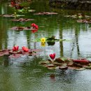 물과 예술로 꽃 피우는 정원 이미지