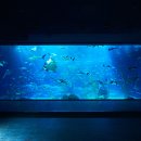 아쿠아pc 이미지