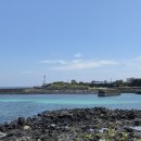 오션블리스 2 | 제주여행코스 추천 ! 옥돌촌 올레길 3코스 스노쿨링 , 제주가성비숙소 오션블리스 다녀온 후기 ✨