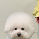 솔티위티 이미지