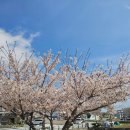 완뽕 | [거제/지세포] 11시에 가도 한정판은 품절? '성내곰탕 &amp; 짬뽕' 소고기짬뽕 완뽕 후기