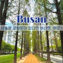 송상현광장 역사마당 | 송상현 광장 부산아이와 가볼만한곳 도심 속 힐링 강아지 산책 명소