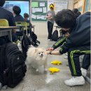 중평중학교 네이버블로그