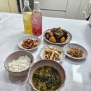 쉘퍼 미니2 앤써 음식물처리기 누룽지현상 음쓰처리기 사용후기