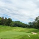 골프드래곤 이미지