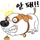 더 편하개 이미지