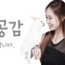 파리바게뜨대전은행점