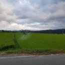 광원농장 이미지