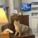 마노뷰티스튜디오