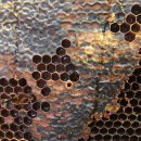 혁신농장 이미지