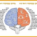 디짐 이미지