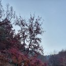 농다리 이미지
