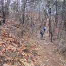 정동진1리 이미지