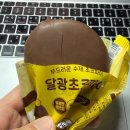 생초상회 | 달광상회 우리밀 파이, 크림빵 좋아하는 조카 때문에 주문했다