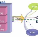 MSPP (Multi Service Provisioning Platform) 이미지