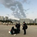 배실(상)공원 웨딩 | [공지] 감도 높은 부산 웨딩 스튜디오: 알마스튜디오 원데이 웨딩촬영 후기🤍