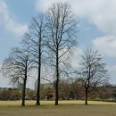 천천 공인중개사사무소 이미지