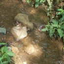 남문카서비스 이미지