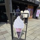 아이스크림콜 | 광화문 폴바셋 종각역점 라벤더 아이스크림 아이스크림 후기
