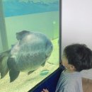 분천2리 야외운동기구 | 대전 유성구 실내동물원 티놀자애니멀파크 비오는날 방문 후기
