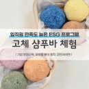 흥덕중앙로 6 이미지