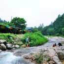 은행나무공원 이미지