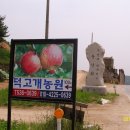 양종문농장 Daum카페