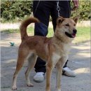 팔도강산 이미지