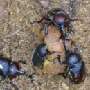 참살이영농조합법인 이미지