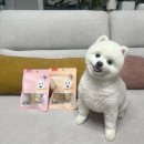 강아지 간식추천 내돈내산 츄잇 만두 한우껌 닭/오리 후기