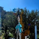 야음장생포행정복지센터 이미지